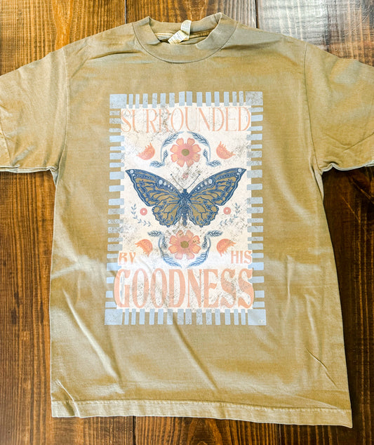 Surrounded by his Goodness Graphic