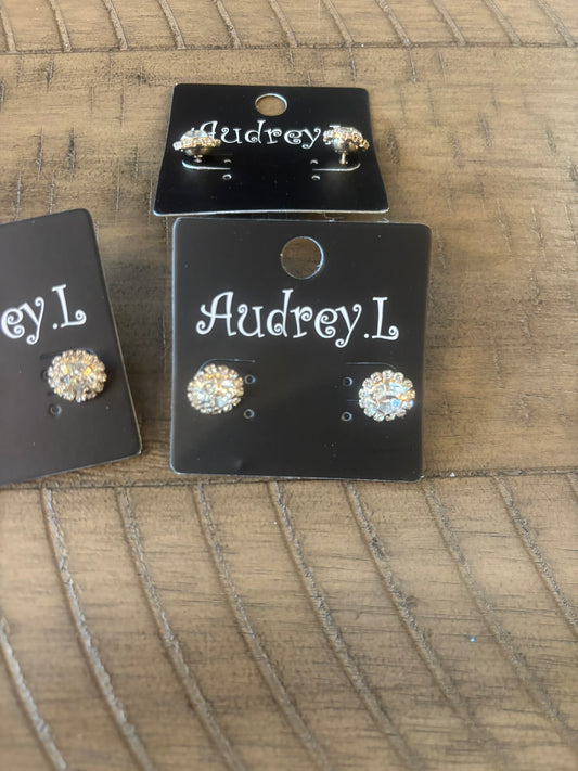 Sparkling Stud Earrings